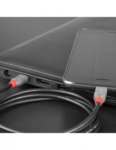 Cabo Lindy USB 2.0 Tipo C para...