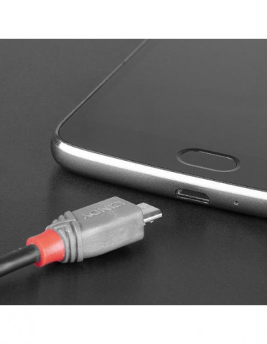 Cabo Lindy USB 2.0 Tipo C para...