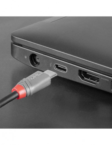 Cabo Lindy USB 2.0 Tipo C para...