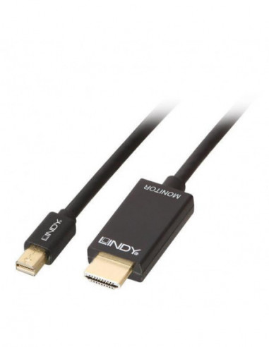 Cabo DisplayPort-HDMI Lindy 1m - 36926