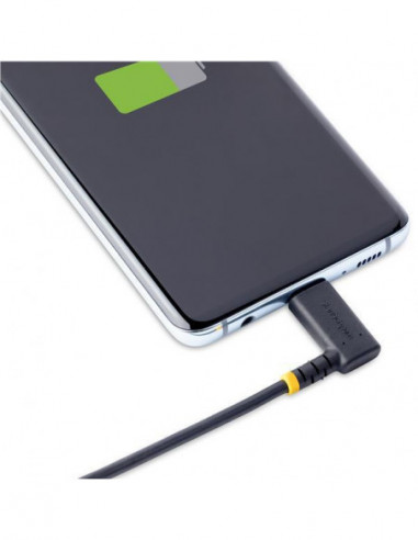 Cabo Startech USB-A para USB-C (30cm)