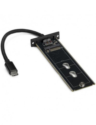 Caixa Externa StarTech para SSD M.2...