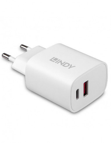 Adaptador Lindy USB Tipo A e C, 20W