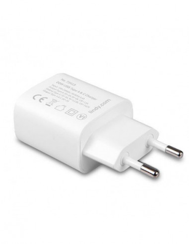 Adaptador Lindy USB Tipo A e C, 20W