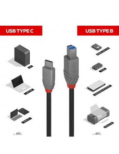 Cabo USB 3.2 Tipo C para B Lindy -... Cabo USB 3.2 Tipo C para B Lindy -...