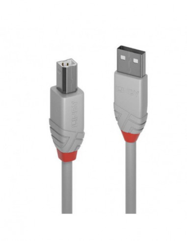 Cabo Lindy USB 2.0 Tipo A para Tipo...