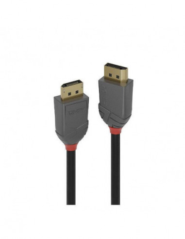 Cabo DisplayPort Lindy 15m