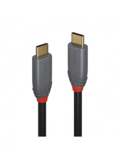 Lindy 0.5musb3.2 C Cable,5a...