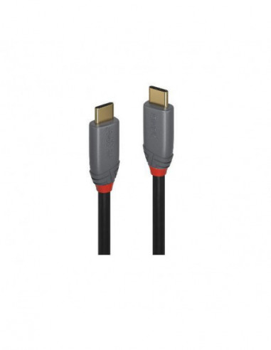Cabo USB 3.2 Tipo C a Tipo C Lindy -...