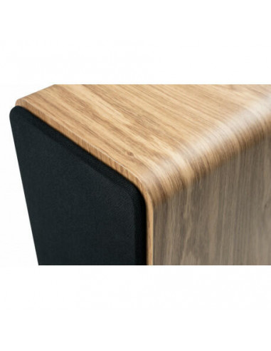 Thomson - Coluna Ws602duo