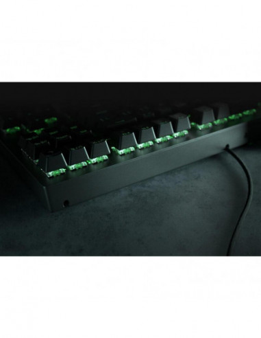 Teclado Razer Blackwidow V3...