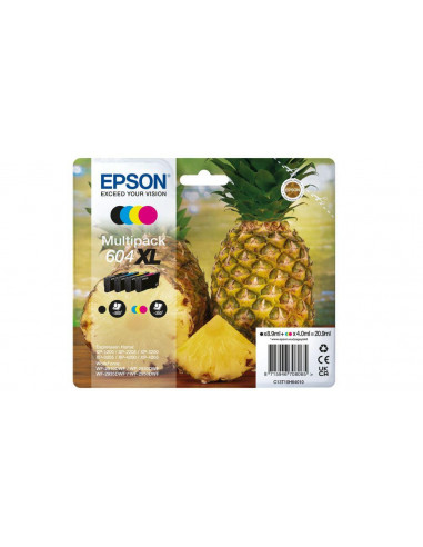 EPSON 1LB Multipack 4colours 604XL Ink