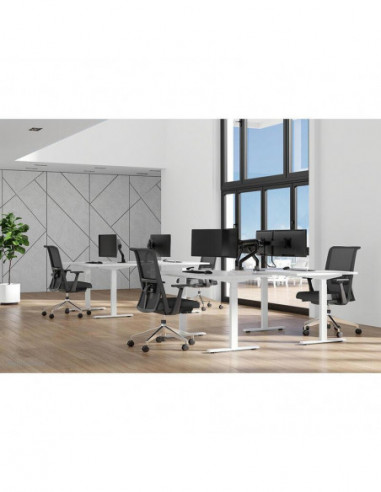 Suporte de Monitor Dual NEOMOUNTS... Suporte de Monitor Dual NEOMOUNTS...