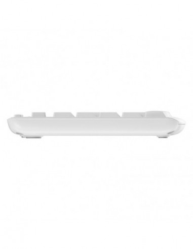 Kit Teclado e Rato Logitech MK295...