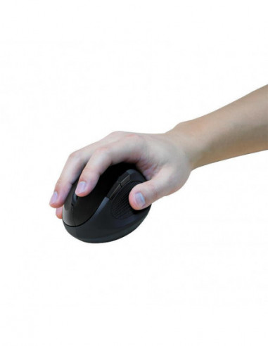 Rato Ergonomico Logilink Id0139...