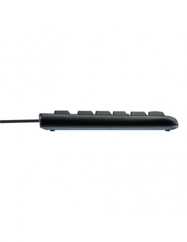 Teclado Inglés + Raton Logitech Mk120...