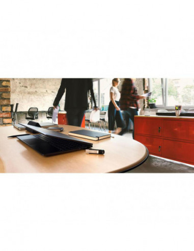 SanDisk Extreme Go - Drive flash USB...