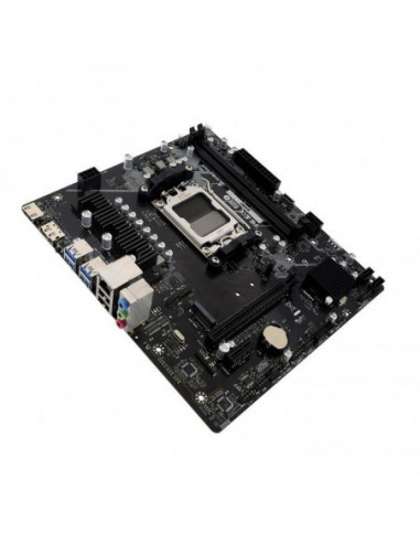Placa Mãe Biostar B650MT - Chipset...