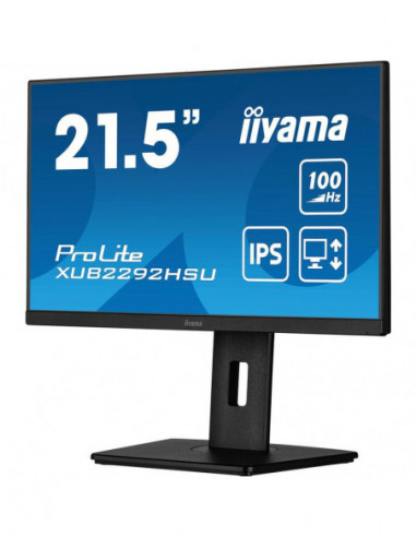 Monitor Iiyama ProLite XUB2292HSU-B6:...
