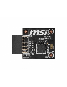 Modulo TPM 2.0 MSI