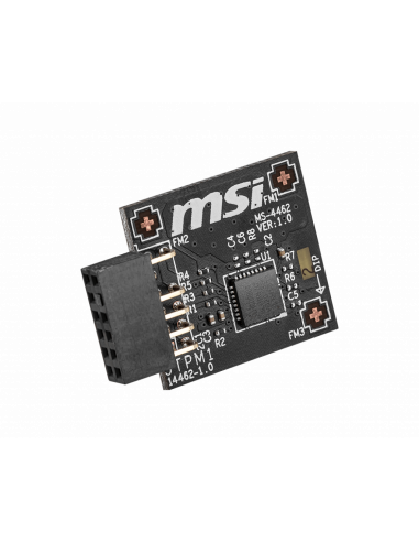Modulo TPM 2.0 MSI