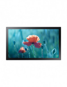 Samsung Monitor...