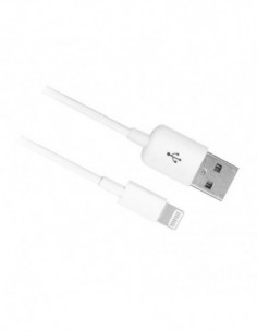 EWENT Cabo Lightning...