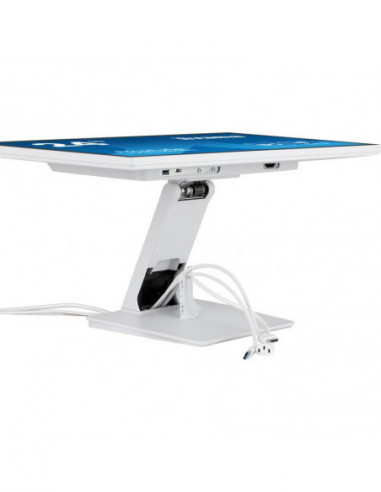 Monitor Iiyama ProLite T2452MSC-W1:...