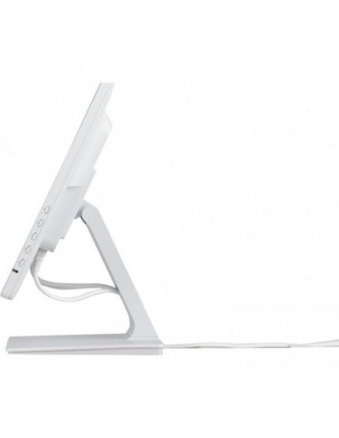 Monitor Iiyama ProLite T2452MSC-W1:...