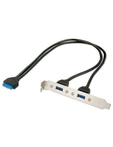 Placa Traseira Lindy USB 3.0 2 Portas...
