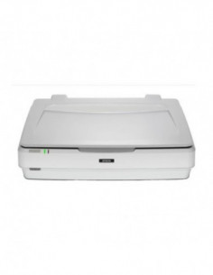 Epson Expression 13000XL