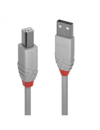Cabo Lindy USB 2.0 Tipo A para Tipo B...