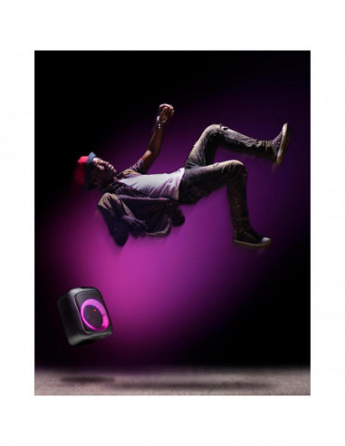 Altifalante Portátil NGS Wild Swag...