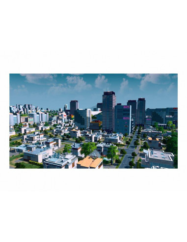 Cities Skylines - 791069