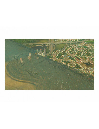 Cities Skylines Natural Disasters -...