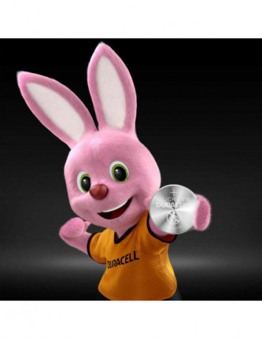 Pack 2 Pilhas Duracell DL2016B2 3V Pack 2 Pilhas Duracell DL2016B2 3V