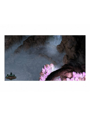 Pillars of Eternity The White...