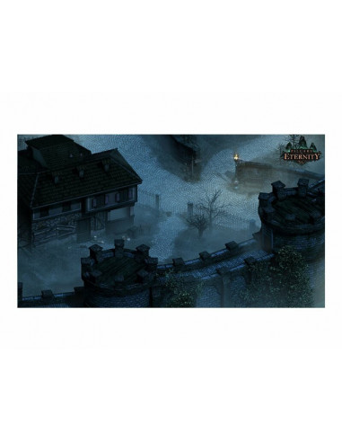 Pillars of Eternity The White...