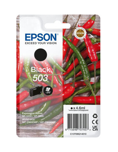 Epson Singlepack Black 503 Ink