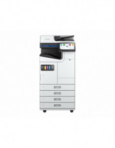 Epson - C11CJ42401