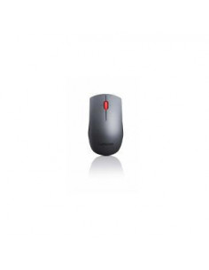 Lenovo Professional...