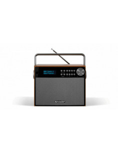 Sharp DR-P350 Radio...
