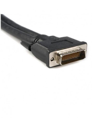 Cabo StarTech DMS-59 para 2x VGA (20cm)