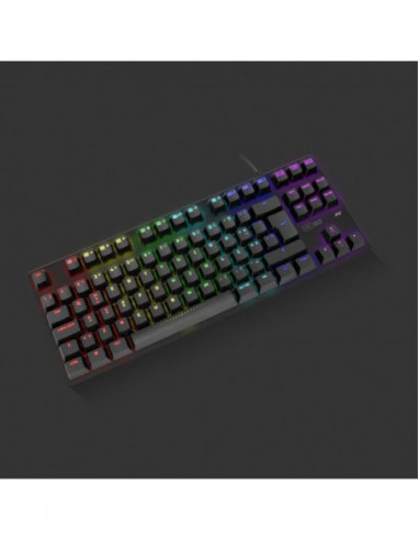 1Life gkb: mekan TKL RGB PT - Teclado...