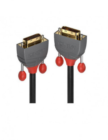 Cabo Vídeo Lindy DVI-D Dual Link 2m