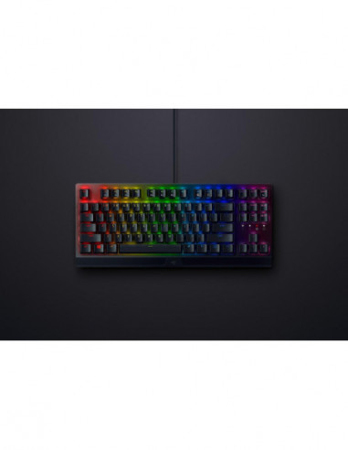 Teclado Blackwidow V3 Tenkeyless...