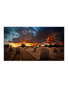 Ecrã Samsung VM55B-U 55"...
