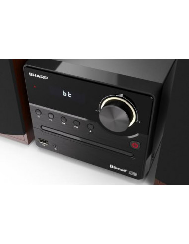 Sistema de Som Sharp XL-B512(BR):...