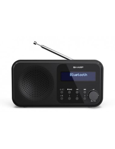Rádio Portátil Digital Sharp DR-P420,...