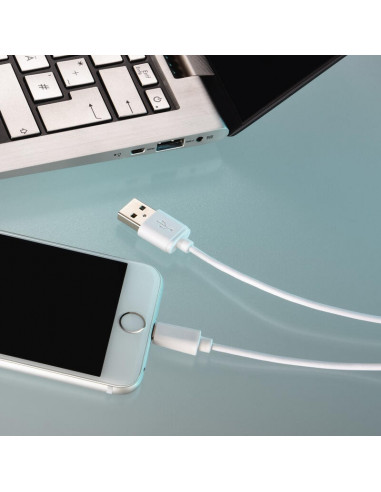 Cabo de dados HAMA Lightning 1.0...